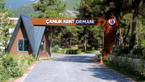 Karabük Çamlık Kent Orman